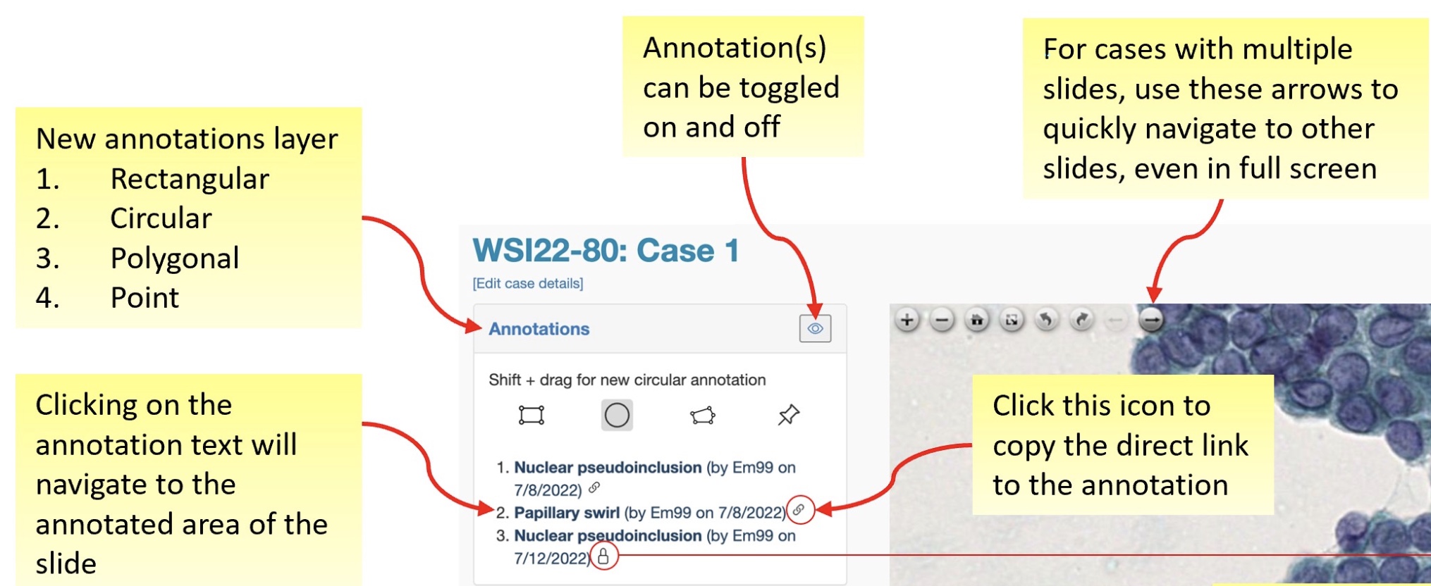 LearnWSIannotations.jpg