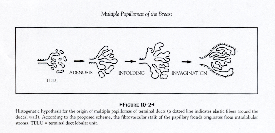 14-32_Hypothesis.jpg