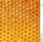 1b_real_honeycomb.jpg