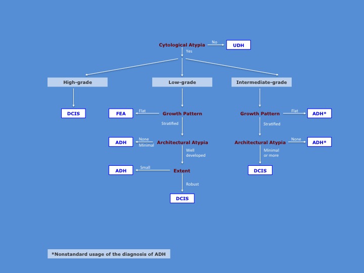 Ductal_Proliferations_Algorithm_3.jpg