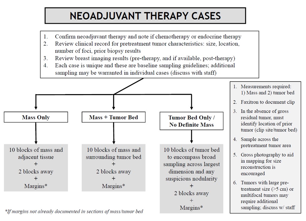 38-3_Neoadjuvant_Therapy_Cases.jpg