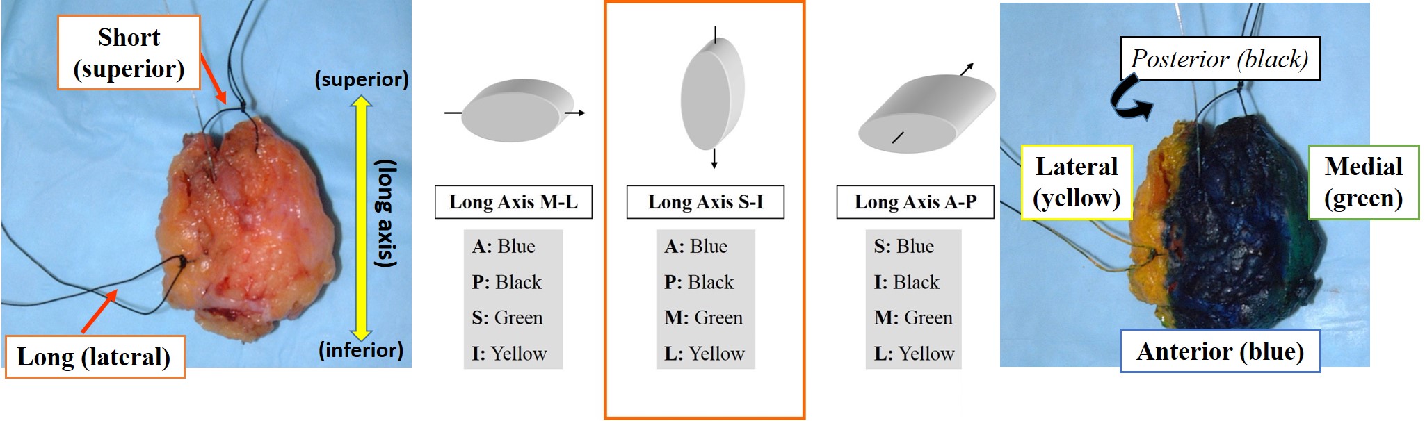 3-4_Inking_flow-4.jpg