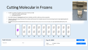 cutting molecular.png